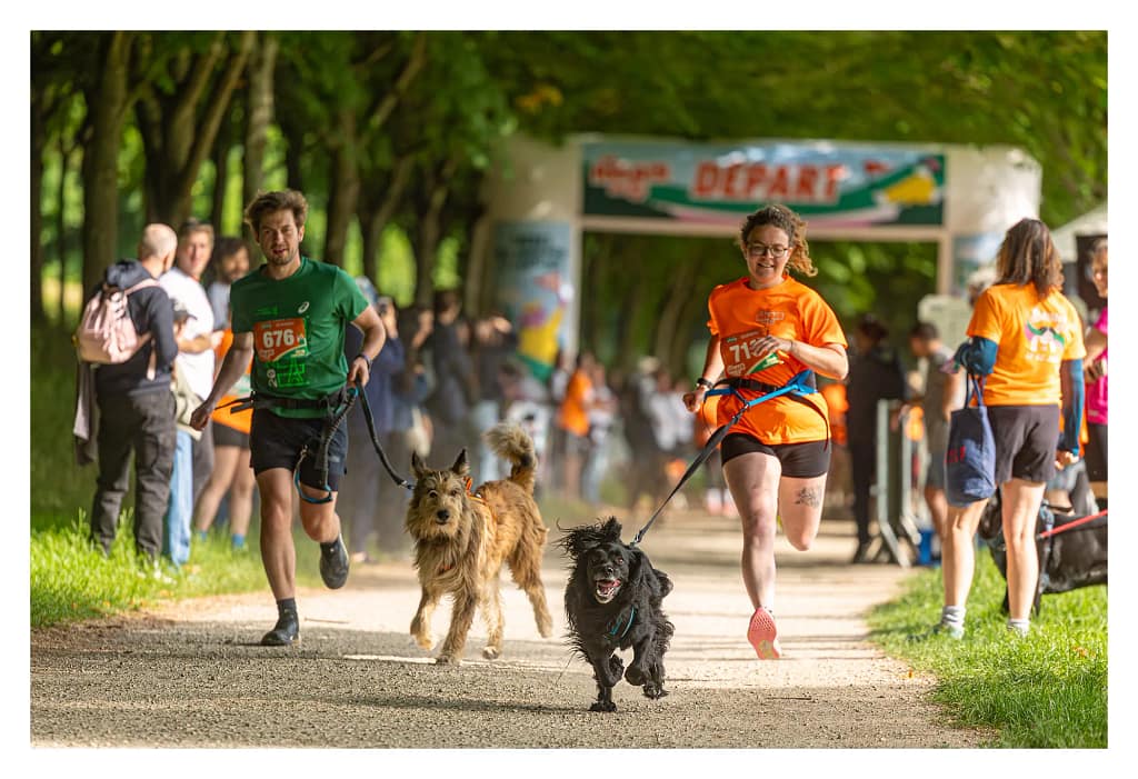 Participants en pleine course au départ de l'épreuve de canicross pour le relais de la Spa