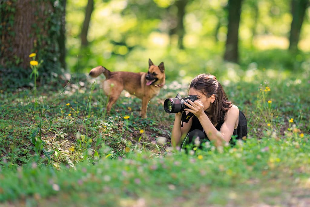 une femme photographe en cours photo allongée au sol dans la forêt. Prenant une photo, avec un petit chien roux qui regarde dans la même direction que la photographe.