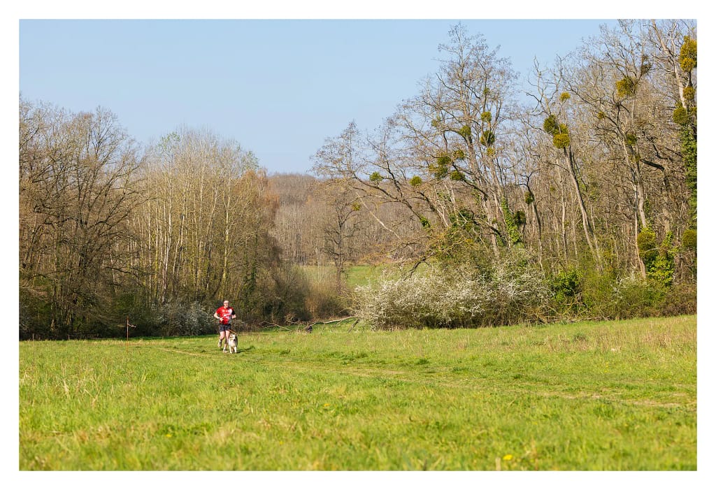 Clairière à Hermeray avec un participant du canicross Educhien 2026