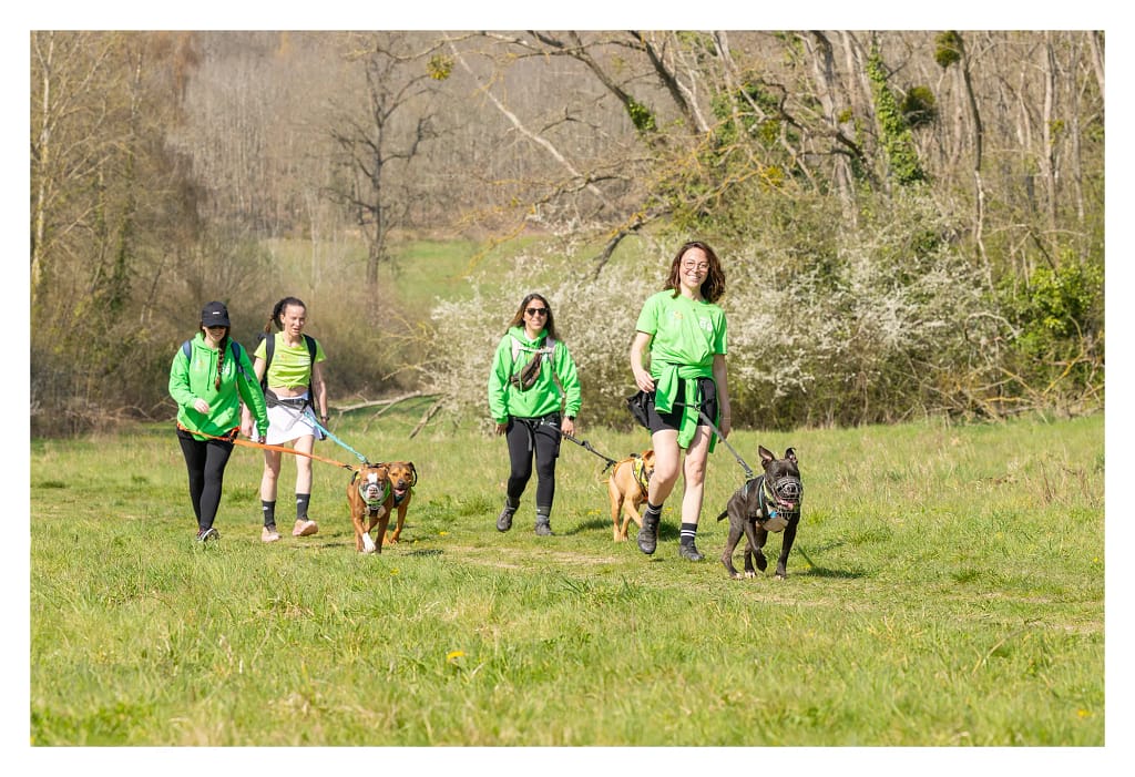 Participants de l'association Will to go de Rambouillet au canicross d'Educhien 2026