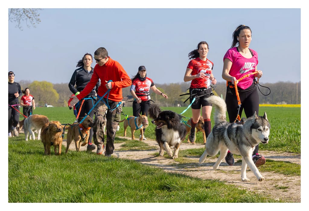 Début de course pour les participants du canicross Educhien 2026