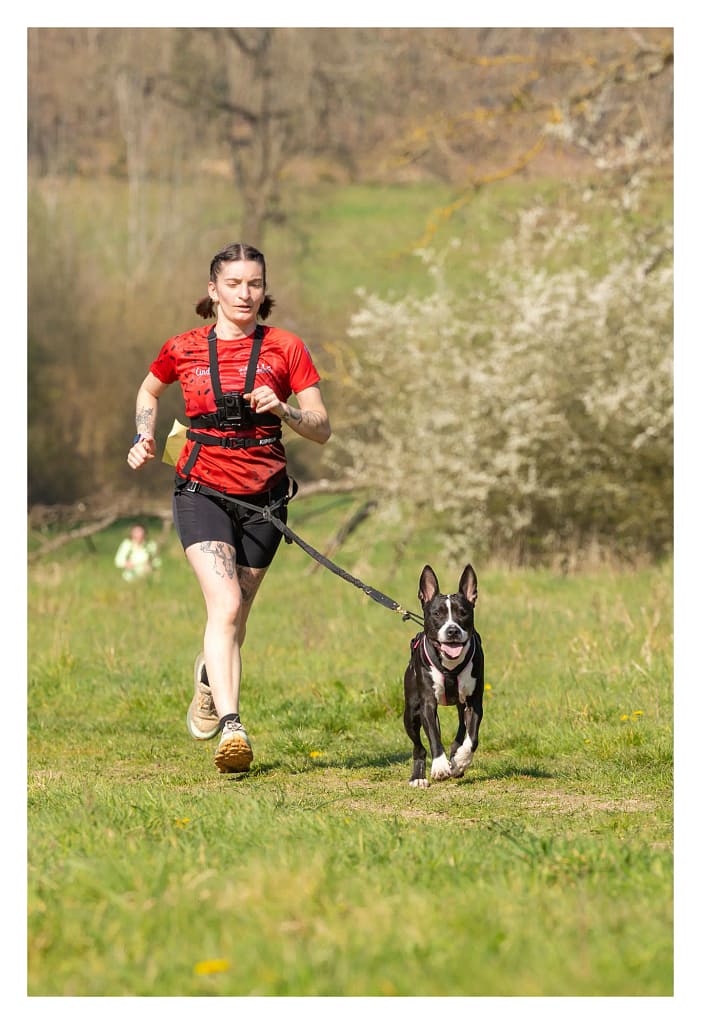 Chien staff et sa maitresse en action au canicross Educhien 2026