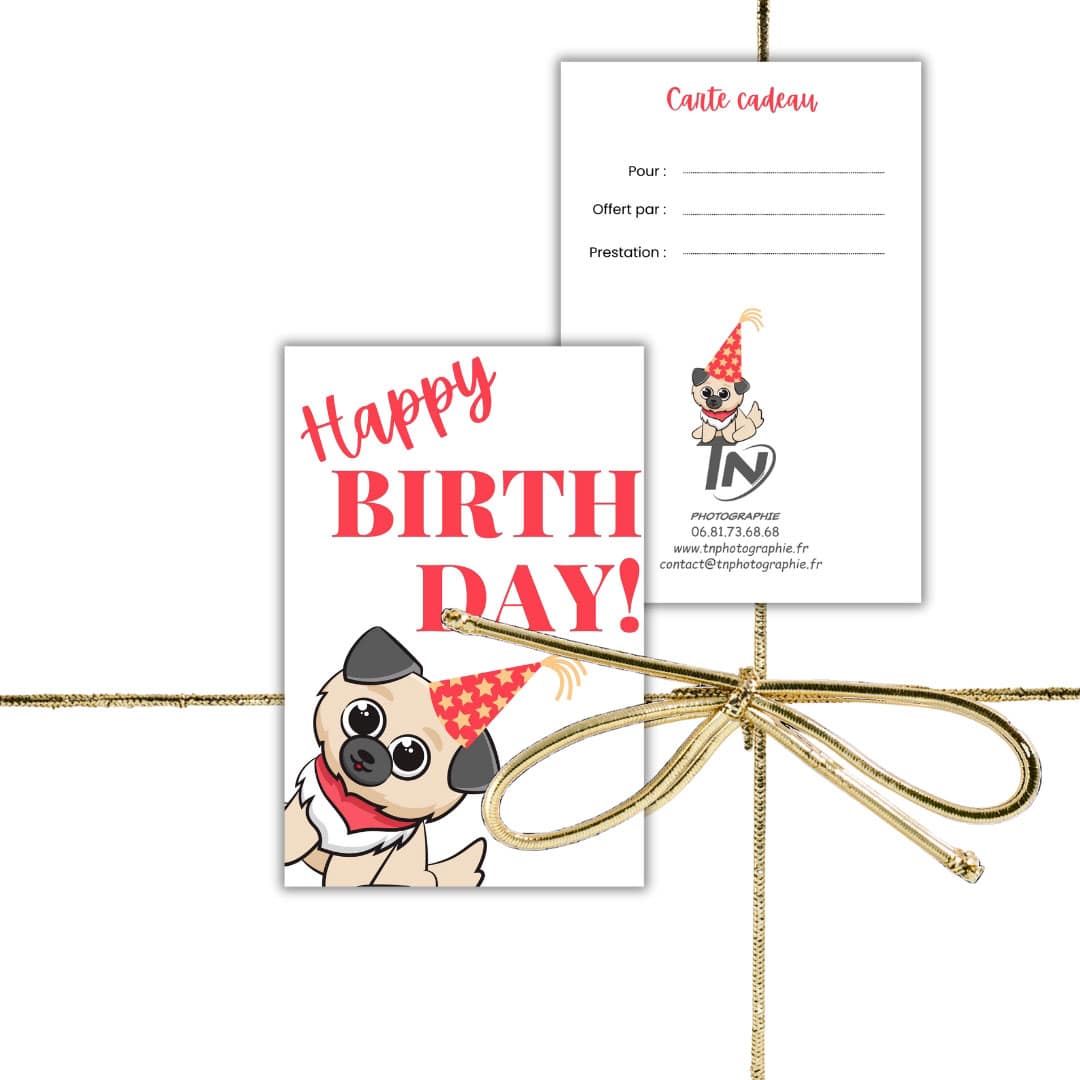 Carte Cadeau d'Anniversaire - Séance Photo avec animal de compagnie - Visuel 3 – Image 3