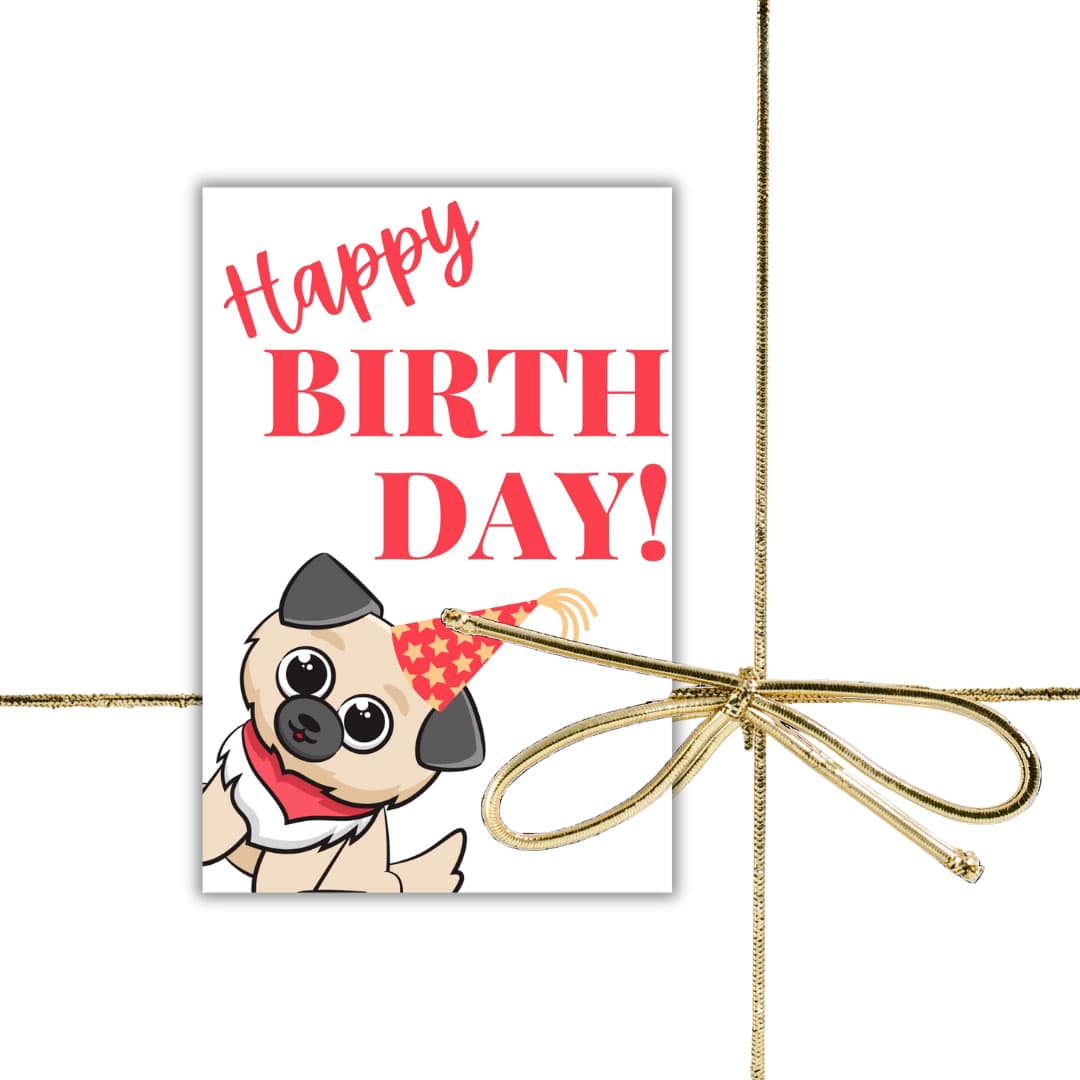 Carte Cadeau d'Anniversaire - Séance Photo avec animal de compagnie - Visuel 3 – Image 2