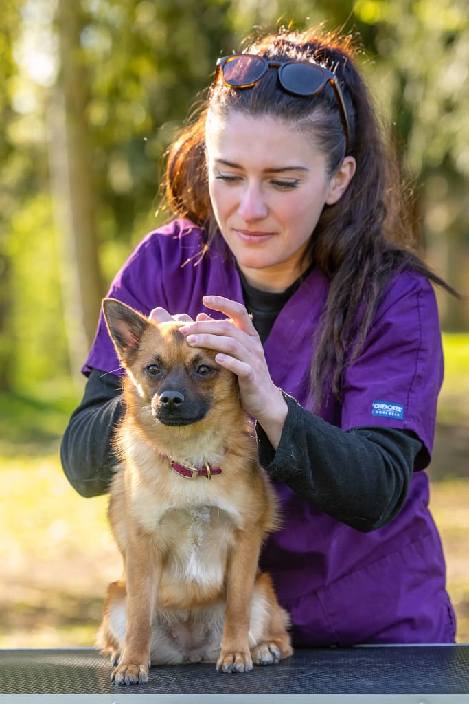 reportage portrait osteopathe animalier tnphotographie