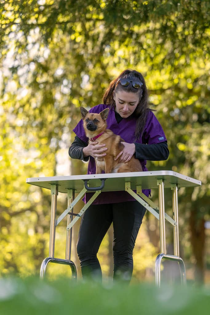 solene zuani osteopahe animaliere reportage tnphotographie