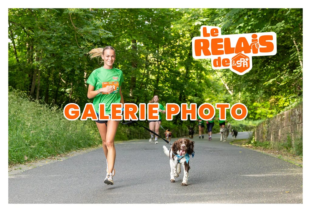 Image de lien vers galerie photo de l'évènement du relais de la SPA 2026
