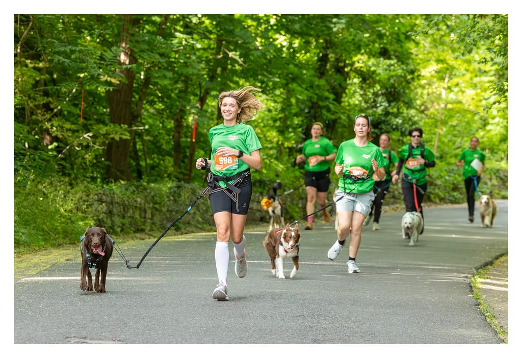 Épreuve du canicross au relais de la SPA 2026 au Domaine national de Saint-cloud