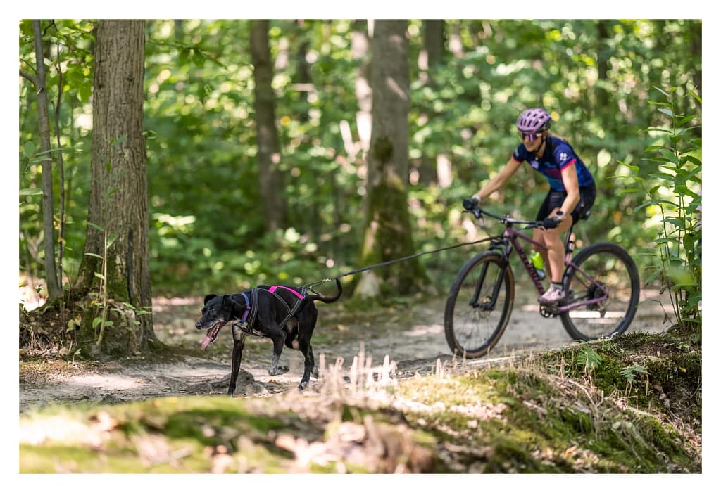Cani-vtt , homme et son chien sur un chemin forestier