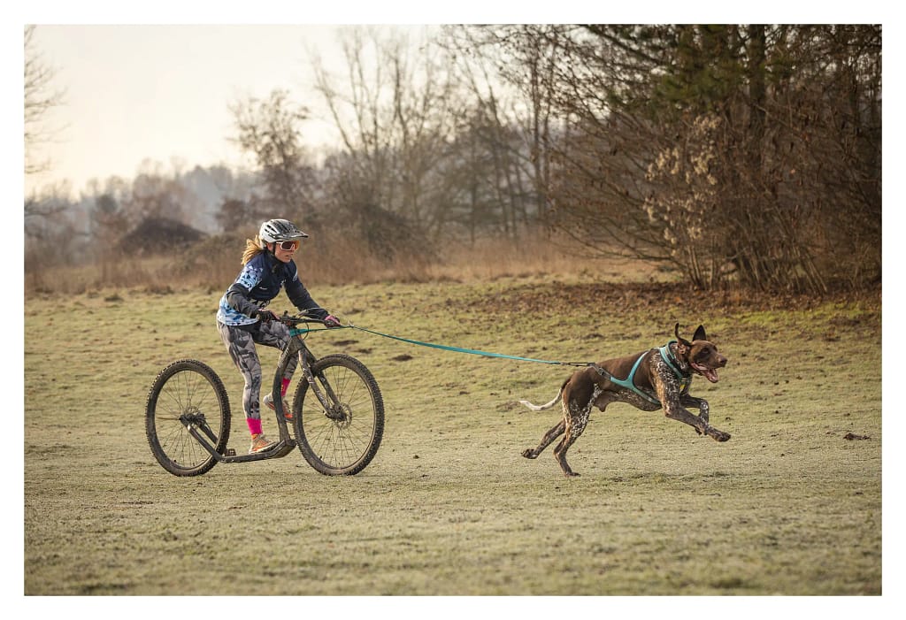 canitrottinette lors du canicross de Cergy