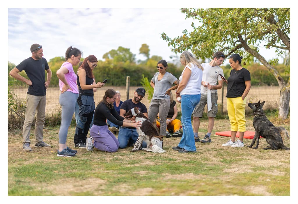 Participants réunis autour de Samir Hrimach pendant un exercice pratique avec plusieurs chiens.