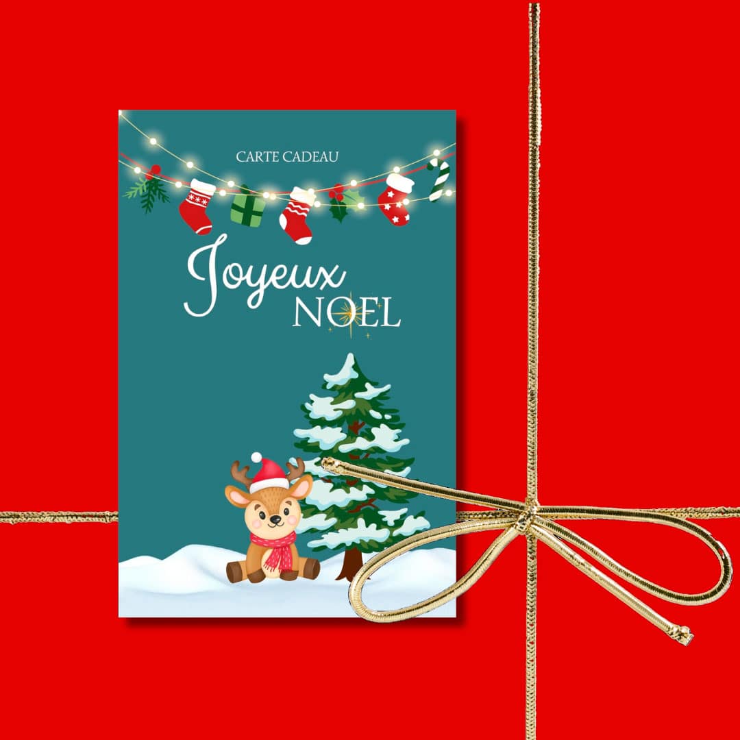 Carte cadeau de Noël illustré pour offrir une séance photo pour un animal de compagnie