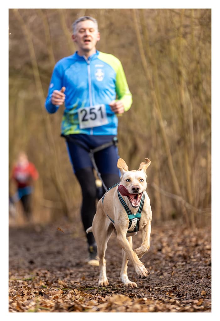 Coureur en canicross avec son chien au Canicross de Cergy