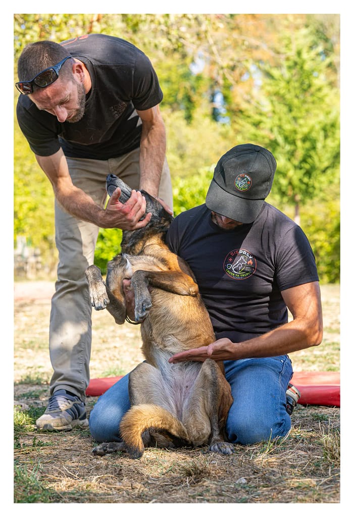 Le formateur accompagne un participant pendant un exercice de manipulation avec un chien.