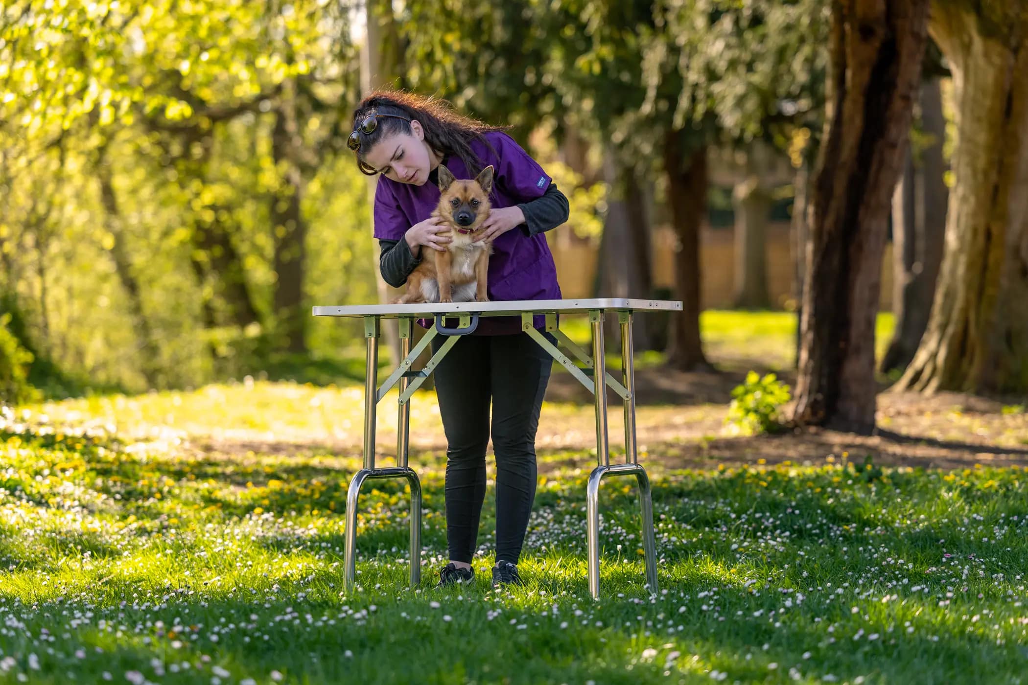 Consultation d’ostéopathie animale en extérieur à Vaux-sur-Seine dans les Yvelines