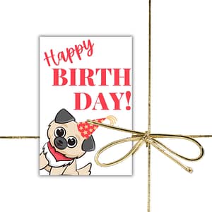 Carte Cadeau  - Séance Photo - anniversaire 3